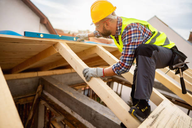 Best Roof Gutter Cleaning  in Kings Park West, VA